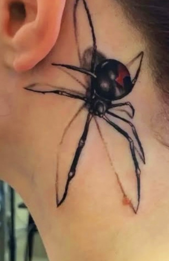 Black Widow Spider
