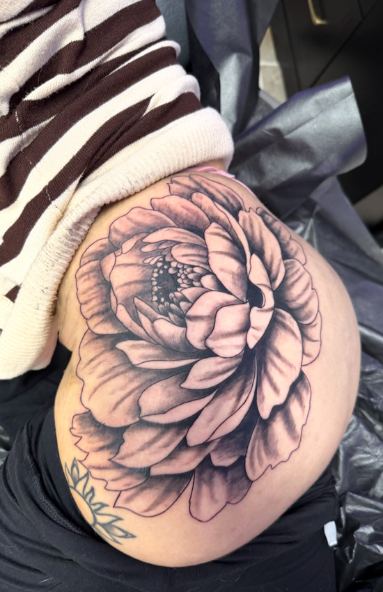 Peony Flower