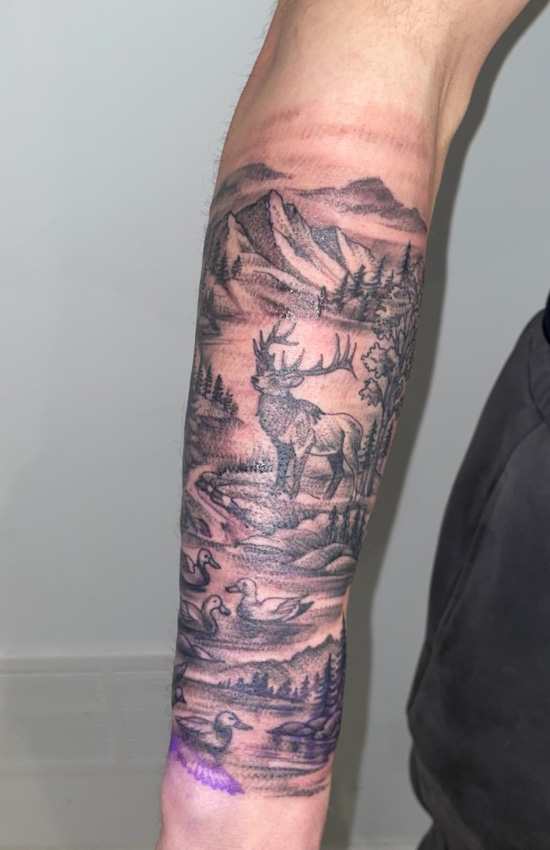 Mountain Deer Landscape