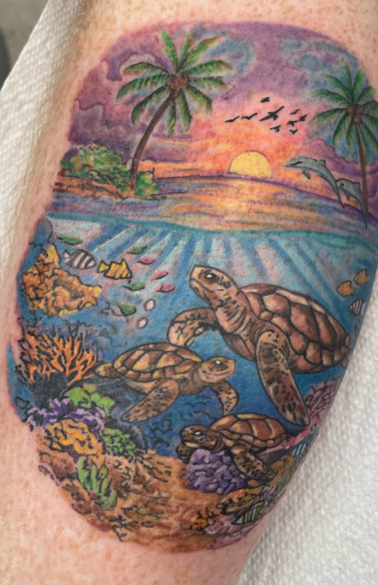 Ocean Sea Turtles